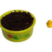 ヒメ日記 2026/08/20 23:15 投稿 ももか ハイ・チュッ