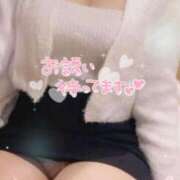 ヒメ日記 2025/04/03 16:32 投稿 りん ハイ・チュッ