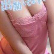 ヒメ日記 2025/08/14 12:44 投稿 りん ハイ・チュッ