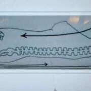 みい 🫶💓 ハイ・チュッ