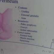 ヒメ日記 2026/03/04 10:17 投稿 みい ハイ・チュッ