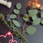 みい 🌿✨️ ハイ・チュッ