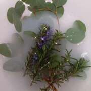 ヒメ日記 2026/03/29 09:45 投稿 みい ハイ・チュッ