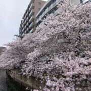 ヒメ日記 2026/04/07 18:37 投稿 みい ハイ・チュッ