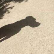 ヒメ日記 2024/12/25 12:20 投稿 かれん アドミsince2009吉祥寺デリヘル&Go To FANTASY東京吉祥寺店