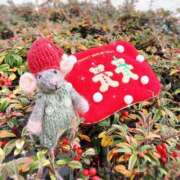 ヒメ日記 2024/12/27 15:20 投稿 かれん アドミsince2009吉祥寺デリヘル&Go To FANTASY東京吉祥寺店