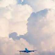 ヒメ日記 2025/01/14 12:10 投稿 かれん アドミsince2009吉祥寺デリヘル&Go To FANTASY東京吉祥寺店