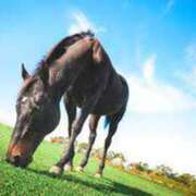 ヒメ日記 2025/01/16 09:50 投稿 かれん アドミsince2009吉祥寺デリヘル&Go To FANTASY東京吉祥寺店