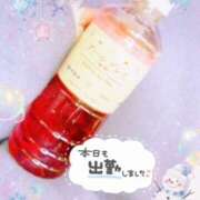 ヒメ日記 2025/01/24 18:34 投稿 かれん アドミsince2009吉祥寺デリヘル&Go To FANTASY東京吉祥寺店