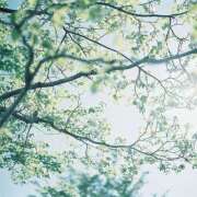 ヒメ日記 2025/01/26 13:10 投稿 かれん アドミsince2009吉祥寺デリヘル&Go To FANTASY東京吉祥寺店