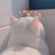 ヒメ日記 2025/02/04 12:50 投稿 かれん アドミsince2009吉祥寺デリヘル&Go To FANTASY東京吉祥寺店