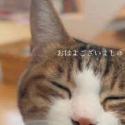 ヒメ日記 2025/02/07 05:36 投稿 かれん アドミsince2009吉祥寺デリヘル&Go To FANTASY東京吉祥寺店