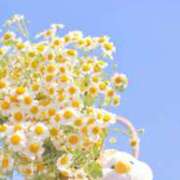 ヒメ日記 2025/02/13 05:16 投稿 かれん アドミsince2009吉祥寺デリヘル&Go To FANTASY東京吉祥寺店