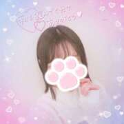 ヒメ日記 2025/02/14 00:47 投稿 かれん アドミsince2009吉祥寺デリヘル&Go To FANTASY東京吉祥寺店