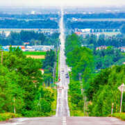 ヒメ日記 2025/02/19 12:10 投稿 かれん アドミsince2009吉祥寺デリヘル&Go To FANTASY東京吉祥寺店