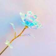 ヒメ日記 2025/02/20 12:06 投稿 かれん アドミsince2009吉祥寺デリヘル&Go To FANTASY東京吉祥寺店