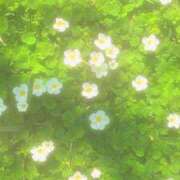 ヒメ日記 2025/02/24 10:36 投稿 かれん アドミsince2009吉祥寺デリヘル&Go To FANTASY東京吉祥寺店