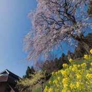 ヒメ日記 2025/03/11 05:50 投稿 かれん アドミsince2009吉祥寺デリヘル&Go To FANTASY東京吉祥寺店