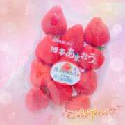 ヒメ日記 2025/03/16 18:41 投稿 かれん アドミsince2009吉祥寺デリヘル&Go To FANTASY東京吉祥寺店