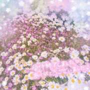 ヒメ日記 2025/05/10 05:20 投稿 かれん アドミsince2009吉祥寺デリヘル&Go To FANTASY東京吉祥寺店