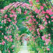 ヒメ日記 2025/05/13 04:36 投稿 かれん アドミsince2009吉祥寺デリヘル&Go To FANTASY東京吉祥寺店