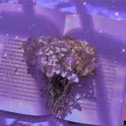 ヒメ日記 2025/05/20 11:20 投稿 かれん アドミsince2009吉祥寺デリヘル&Go To FANTASY東京吉祥寺店