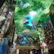 ヒメ日記 2025/05/28 07:22 投稿 かれん アドミsince2009吉祥寺デリヘル&Go To FANTASY東京吉祥寺店