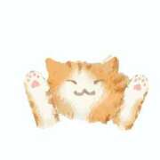 ヒメ日記 2025/06/03 09:10 投稿 かれん アドミsince2009吉祥寺デリヘル&Go To FANTASY東京吉祥寺店