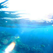 ヒメ日記 2025/06/17 11:12 投稿 かれん アドミsince2009吉祥寺デリヘル&Go To FANTASY東京吉祥寺店