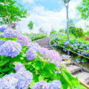 ヒメ日記 2025/06/20 05:40 投稿 かれん アドミsince2009吉祥寺デリヘル&Go To FANTASY東京吉祥寺店