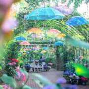 ヒメ日記 2025/06/24 05:10 投稿 かれん アドミsince2009吉祥寺デリヘル&Go To FANTASY東京吉祥寺店