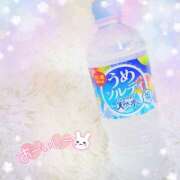 ヒメ日記 2025/07/12 13:50 投稿 かれん アドミsince2009吉祥寺デリヘル&Go To FANTASY東京吉祥寺店