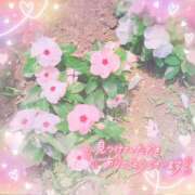 ヒメ日記 2025/07/20 08:23 投稿 かれん アドミsince2009吉祥寺デリヘル&Go To FANTASY東京吉祥寺店