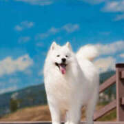 ヒメ日記 2025/07/29 11:50 投稿 かれん アドミsince2009吉祥寺デリヘル&Go To FANTASY東京吉祥寺店