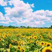 ヒメ日記 2025/08/04 07:16 投稿 かれん アドミsince2009吉祥寺デリヘル&Go To FANTASY東京吉祥寺店