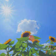 ヒメ日記 2025/08/15 12:22 投稿 かれん アドミsince2009吉祥寺デリヘル&Go To FANTASY東京吉祥寺店