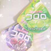 ヒメ日記 2025/08/20 05:20 投稿 かれん アドミsince2009吉祥寺デリヘル&Go To FANTASY東京吉祥寺店