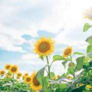 ヒメ日記 2025/08/22 07:16 投稿 かれん アドミsince2009吉祥寺デリヘル&Go To FANTASY東京吉祥寺店