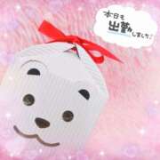 ヒメ日記 2025/08/27 18:06 投稿 かれん アドミsince2009吉祥寺デリヘル&Go To FANTASY東京吉祥寺店