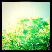 ヒメ日記 2025/09/17 13:16 投稿 かれん アドミsince2009吉祥寺デリヘル&Go To FANTASY東京吉祥寺店