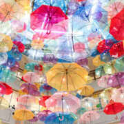 ヒメ日記 2025/09/19 07:32 投稿 かれん アドミsince2009吉祥寺デリヘル&Go To FANTASY東京吉祥寺店