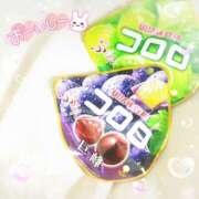 ヒメ日記 2025/09/26 11:20 投稿 かれん アドミsince2009吉祥寺デリヘル&Go To FANTASY東京吉祥寺店