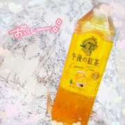 ヒメ日記 2025/09/29 18:32 投稿 かれん アドミsince2009吉祥寺デリヘル&Go To FANTASY東京吉祥寺店