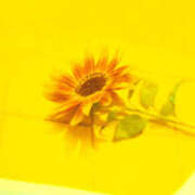 ヒメ日記 2025/10/08 13:12 投稿 かれん アドミsince2009吉祥寺デリヘル&Go To FANTASY東京吉祥寺店