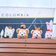 ヒメ日記 2025/10/14 07:37 投稿 かれん アドミsince2009吉祥寺デリヘル&Go To FANTASY東京吉祥寺店