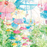 ヒメ日記 2025/10/20 07:37 投稿 かれん アドミsince2009吉祥寺デリヘル&Go To FANTASY東京吉祥寺店