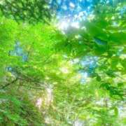 ヒメ日記 2025/10/24 11:37 投稿 かれん アドミsince2009吉祥寺デリヘル&Go To FANTASY東京吉祥寺店