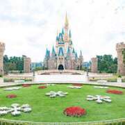 ヒメ日記 2025/11/10 07:36 投稿 かれん アドミsince2009吉祥寺デリヘル&Go To FANTASY東京吉祥寺店