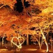 ヒメ日記 2025/11/23 05:50 投稿 かれん アドミsince2009吉祥寺デリヘル&Go To FANTASY東京吉祥寺店