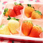 ヒメ日記 2026/01/06 07:34 投稿 かれん アドミsince2009吉祥寺デリヘル&Go To FANTASY東京吉祥寺店